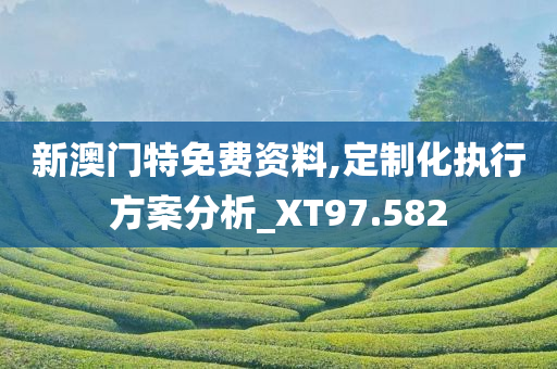 新澳门特免费资料,定制化执行方案分析_XT97.582