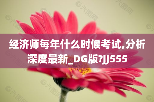 经济师每年什么时候考试,分析深度最新_DG版?JJ555