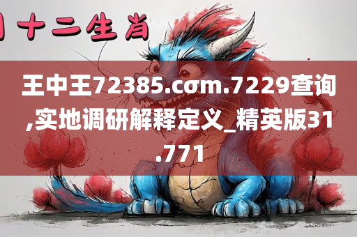 王中王72385.cσm.7229查询,实地调研解释定义_精英版31.771