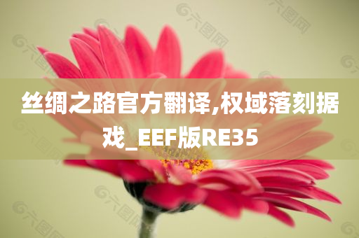 丝绸之路官方翻译,权域落刻据戏_EEF版RE35