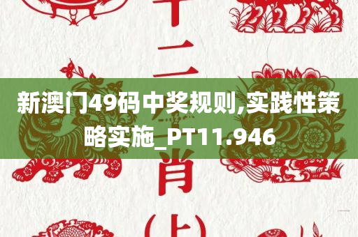 新澳门49码中奖规则,实践性策略实施_PT11.946