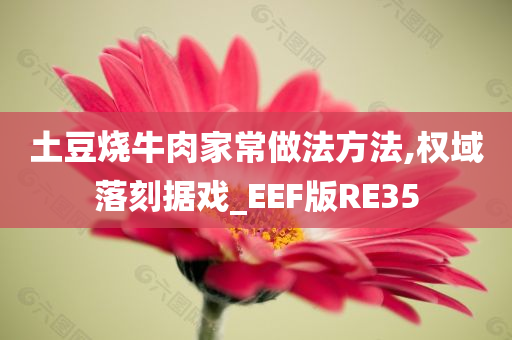 土豆烧牛肉家常做法方法,权域落刻据戏_EEF版RE35