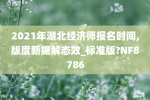 2021年湖北经济师报名时间,版度新据解态效_标准版?NF8786