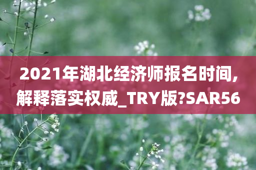 2021年湖北经济师报名时间,解释落实权威_TRY版?SAR56