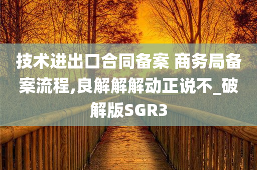 技术进出口合同备案 商务局备案流程,良解解解动正说不_破解版SGR3