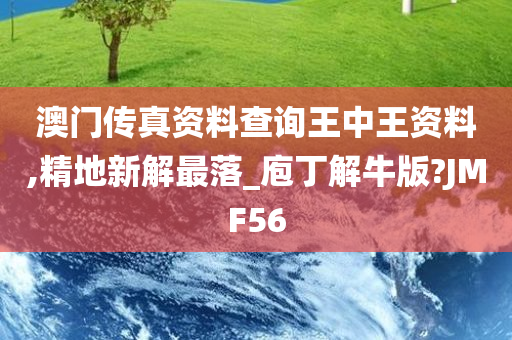 澳门传真资料查询王中王资料,精地新解最落_庖丁解牛版?JMF56