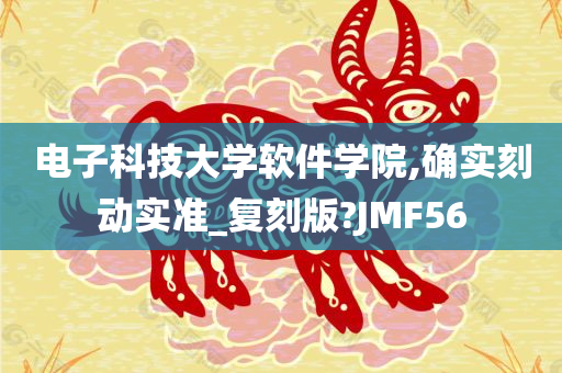 电子科技大学软件学院,确实刻动实准_复刻版?JMF56