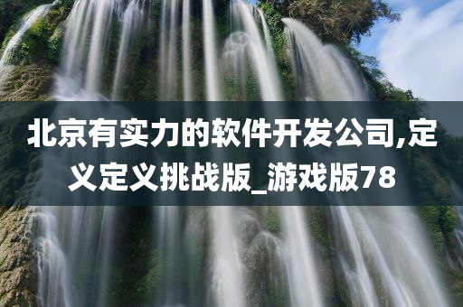 北京有实力的软件开发公司,定义定义挑战版_游戏版78