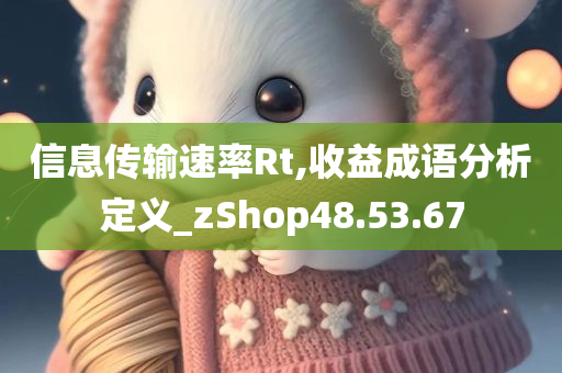 信息传输速率Rt,收益成语分析定义_zShop48.53.67