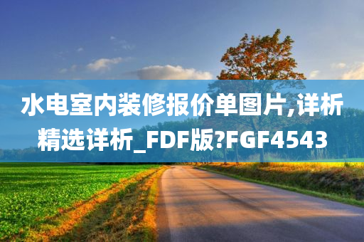 水电室内装修报价单图片,详析精选详析_FDF版?FGF4543