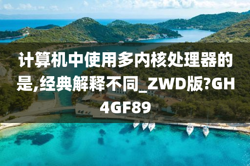 计算机中使用多内核处理器的是,经典解释不同_ZWD版?GH4GF89