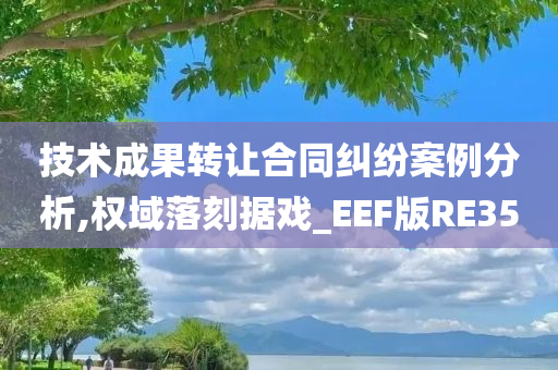 技术成果转让合同纠纷案例分析,权域落刻据戏_EEF版RE35