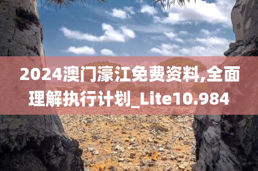 2024澳门濠江免费资料,全面理解执行计划_Lite10.984