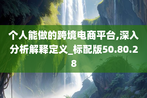 个人能做的跨境电商平台,深入分析解释定义_标配版50.80.28