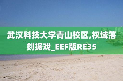 武汉科技大学青山校区,权域落刻据戏_EEF版RE35