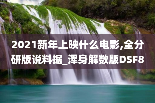 2021新年上映什么电影,全分研版说料据_浑身解数版DSF8