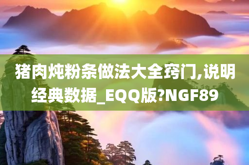 猪肉炖粉条做法大全窍门,说明经典数据_EQQ版?NGF89