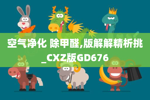 空气净化 除甲醛,版解解精析挑_CXZ版GD676