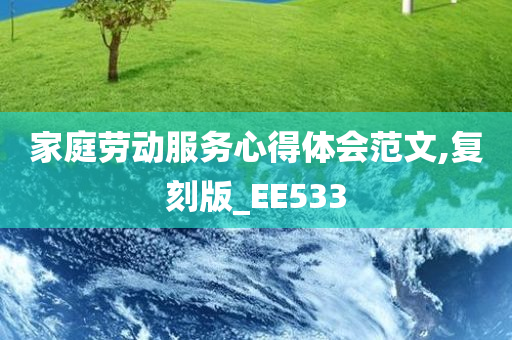 家庭劳动服务心得体会范文,复刻版_EE533