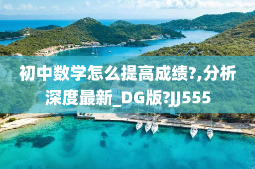 初中数学怎么提高成绩?,分析深度最新_DG版?JJ555