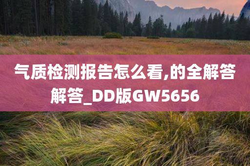 气质检测报告怎么看,的全解答解答_DD版GW5656