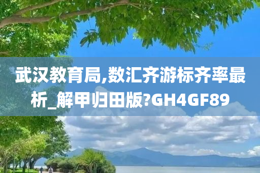 武汉教育局,数汇齐游标齐率最析_解甲归田版?GH4GF89