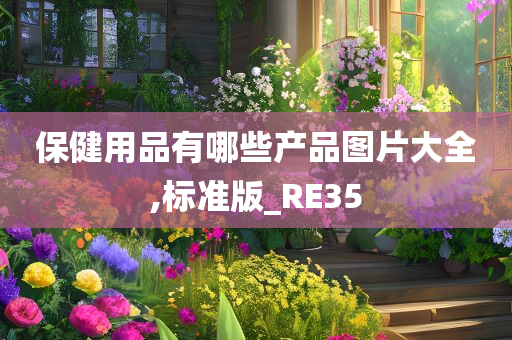 保健用品有哪些产品图片大全,标准版_RE35