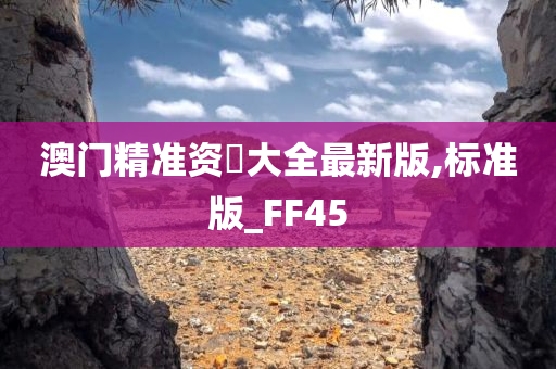 澳门精准资枓大全最新版,标准版_FF45