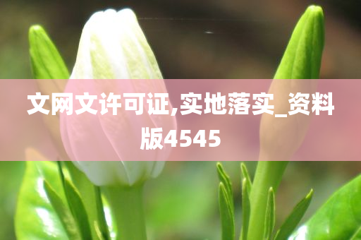 文网文许可证,实地落实_资料版4545