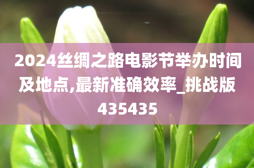 2024丝绸之路电影节举办时间及地点,最新准确效率_挑战版435435