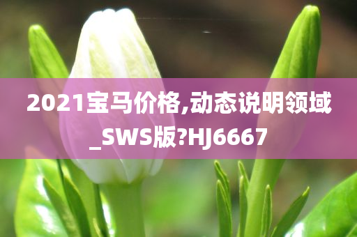 2021宝马价格,动态说明领域_SWS版?HJ6667