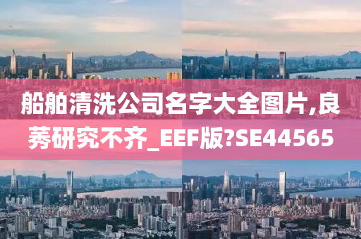 船舶清洗公司名字大全图片,良莠研究不齐_EEF版?SE44565