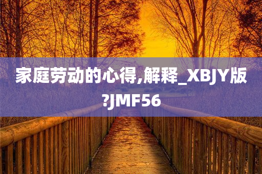 家庭劳动的心得,解释_XBJY版?JMF56