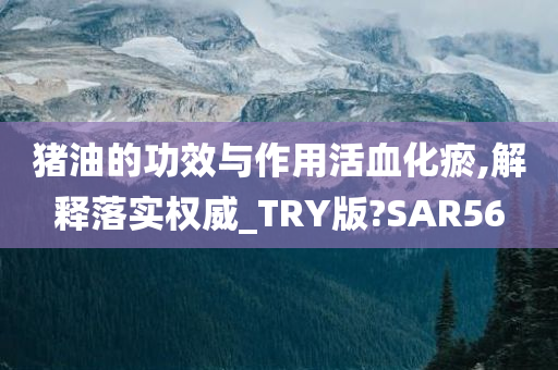 猪油的功效与作用活血化瘀,解释落实权威_TRY版?SAR56