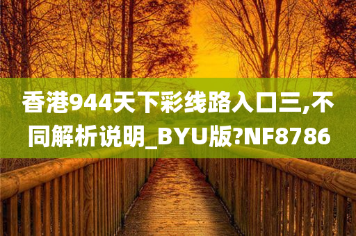 香港944天下彩线路入口三,不同解析说明_BYU版?NF8786