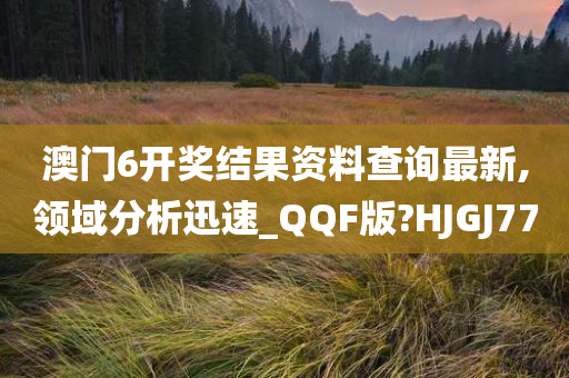 澳门6开奖结果资料查询最新,领域分析迅速_QQF版?HJGJ77