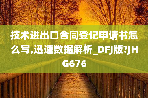 技术进出口合同登记申请书怎么写,迅速数据解析_DFJ版?JHG676