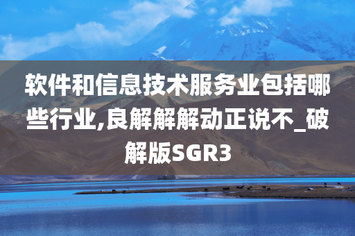 软件和信息技术服务业包括哪些行业,良解解解动正说不_破解版SGR3