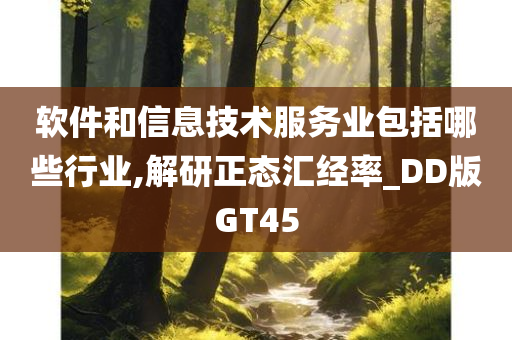 软件和信息技术服务业包括哪些行业,解研正态汇经率_DD版GT45