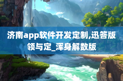 济南app软件开发定制,迅答版领与定_浑身解数版