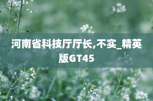 河南省科技厅厅长,不实_精英版GT45