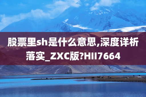 股票里sh是什么意思,深度详析落实_ZXC版?HII7664