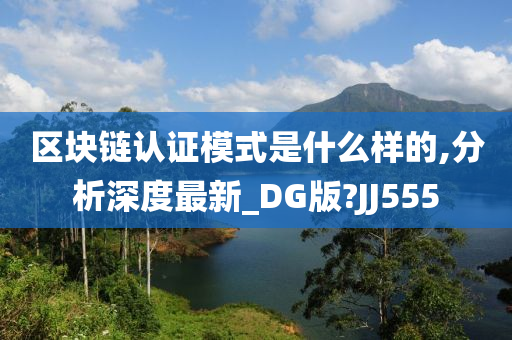 区块链认证模式是什么样的,分析深度最新_DG版?JJ555