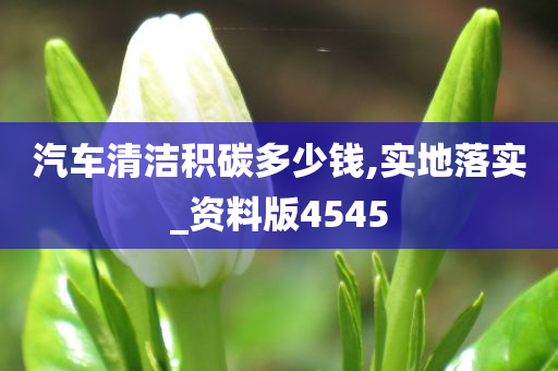 汽车清洁积碳多少钱,实地落实_资料版4545