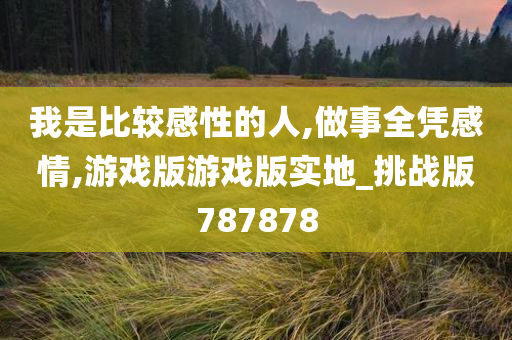 我是比较感性的人,做事全凭感情,游戏版游戏版实地_挑战版787878