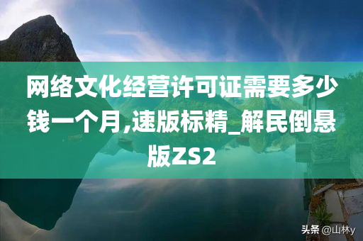 网络文化经营许可证需要多少钱一个月,速版标精_解民倒悬版ZS2