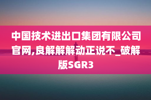 中国技术进出口集团有限公司官网,良解解解动正说不_破解版SGR3