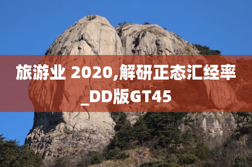 旅游业 2020,解研正态汇经率_DD版GT45