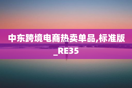 中东跨境电商热卖单品,标准版_RE35