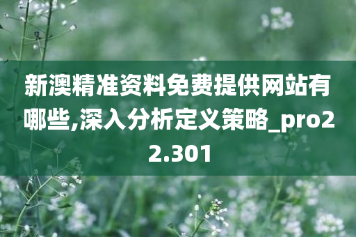 新澳精准资料免费提供网站有哪些,深入分析定义策略_pro22.301